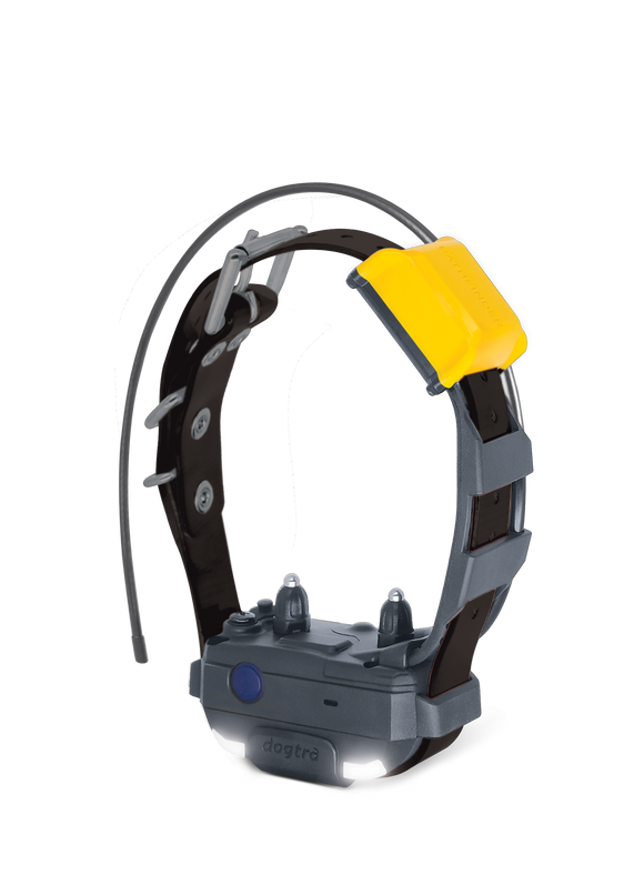 Dogtra Pathfinder2 mini additional track and train collar - Sunnypeak