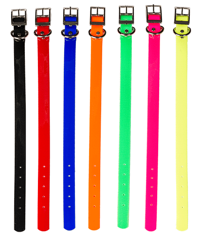 1'' Dayglo Collars w/Dee Ring - Sunnypeak